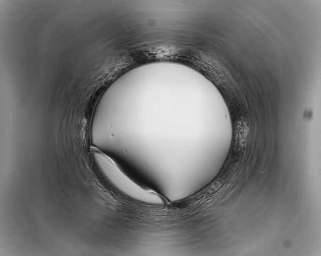 X0000098080650200805021023