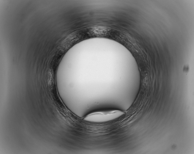 X0000098080651200805021023