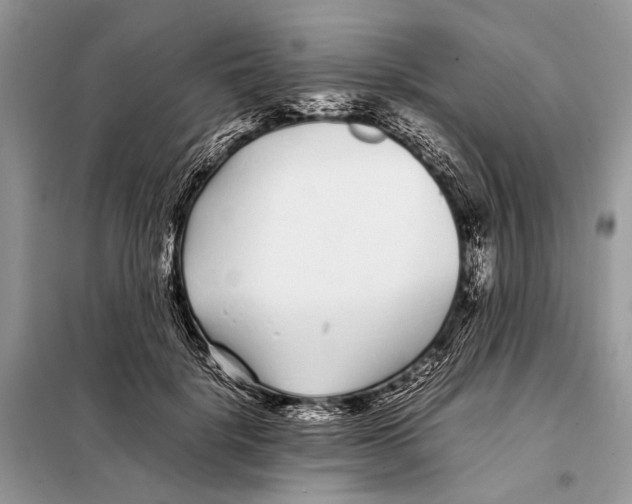 X0000098080652200805021023