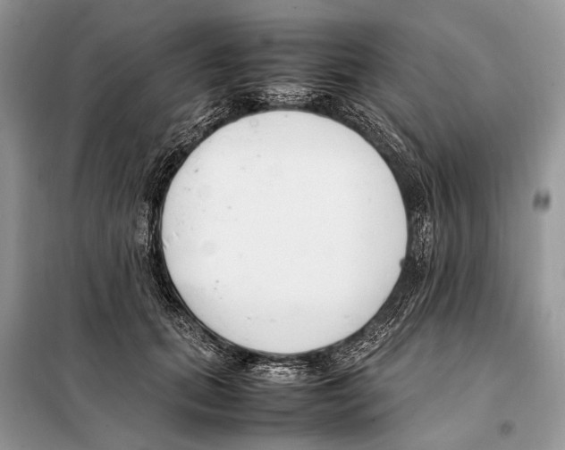 X0000098080655200805021023