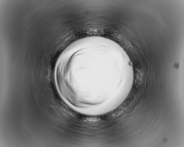 X0000098080659200805021023