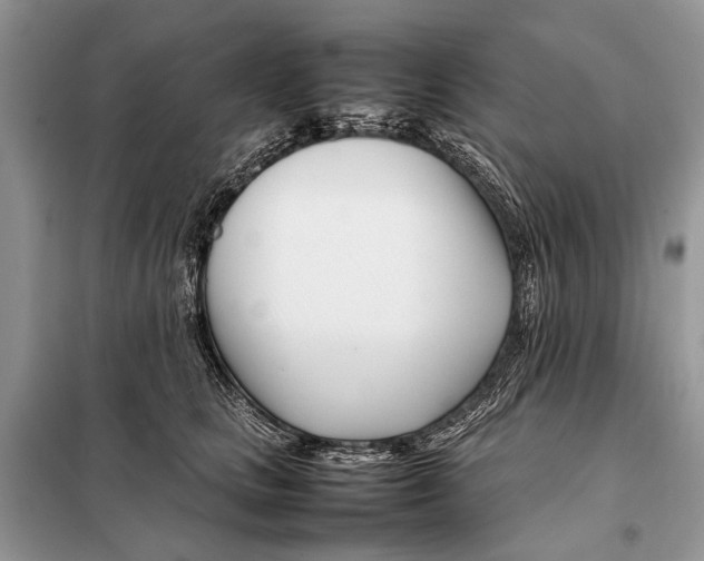 X0000098080661200805021023