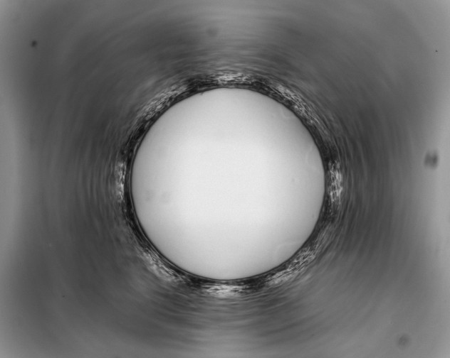 X0000098080664200805021023