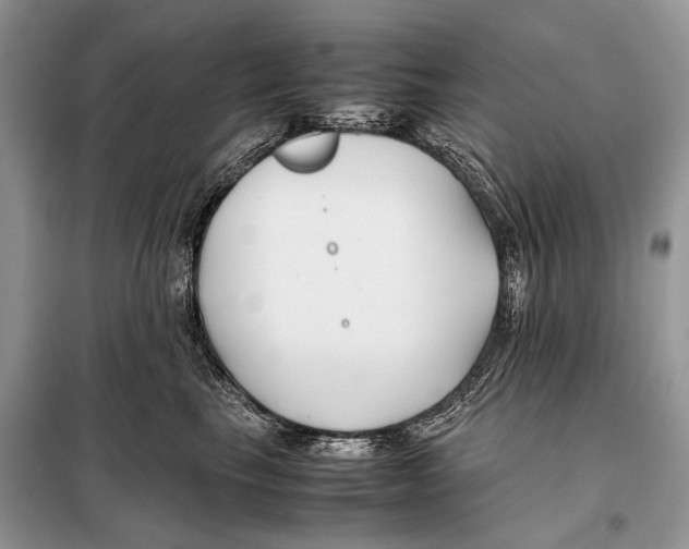 X0000098080665200805021023