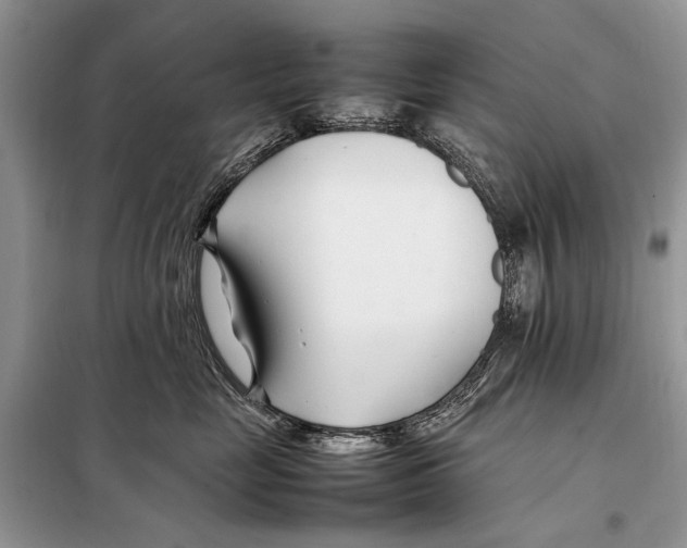 X0000098080669200805021023