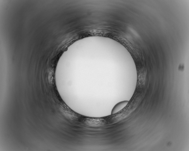 X0000098080671200805021023