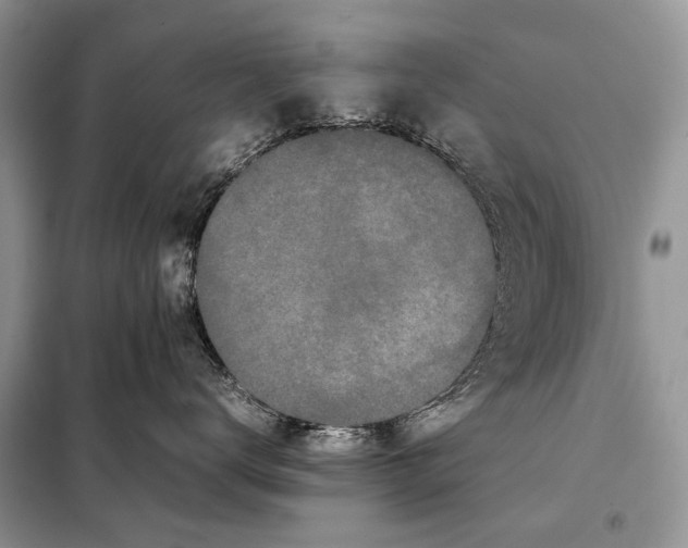 X0000098080672200805021023