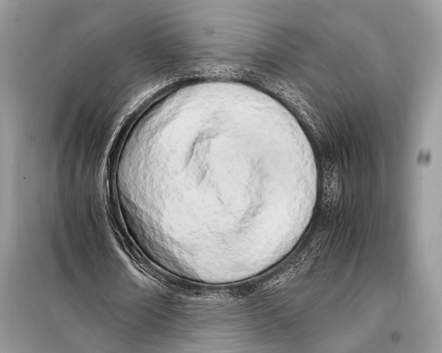X0000098080674200805021022