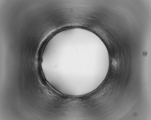 X0000098080676200805021022