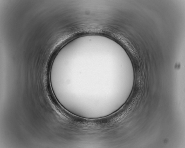X0000098080677200805021022