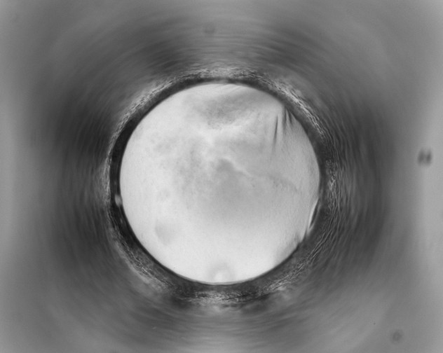 X0000098080678200805021022