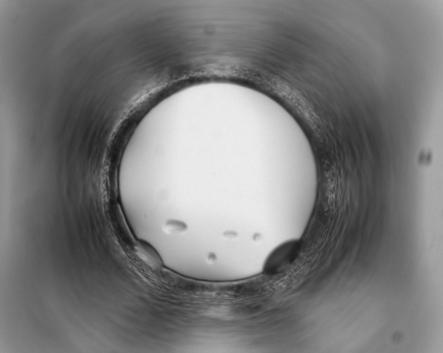 X0000098080680200805021022