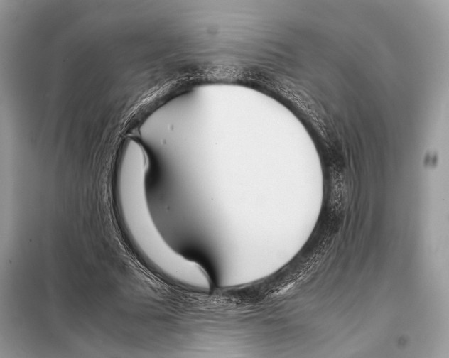 X0000098080681200805021022
