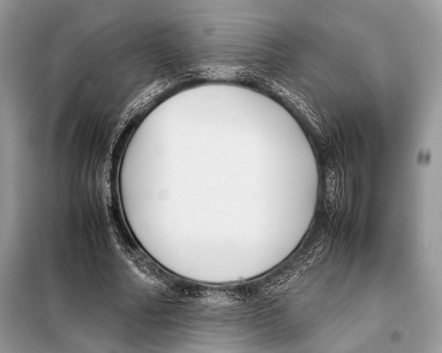 X0000098080682200805021022
