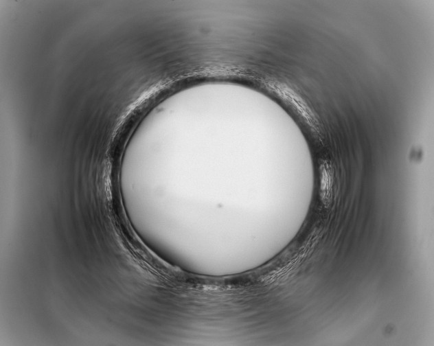X0000098080684200805021022