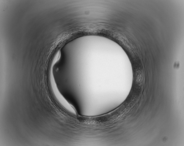 X0000098080685200805021022