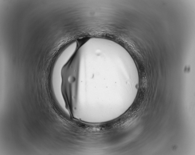 X0000098080687200805021022