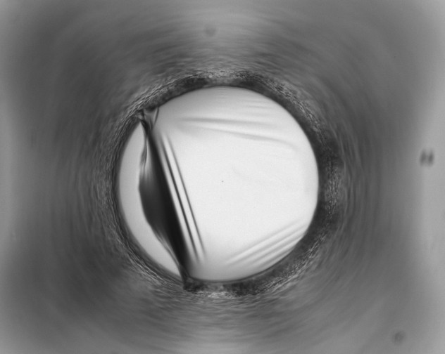 X0000098080689200805021022