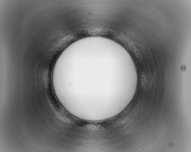 X0000098080690200805021022
