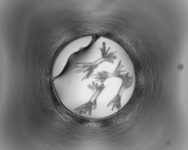 X0000098080691200805021022