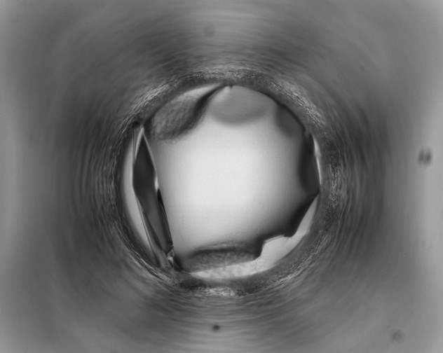 X0000098080692200805021022