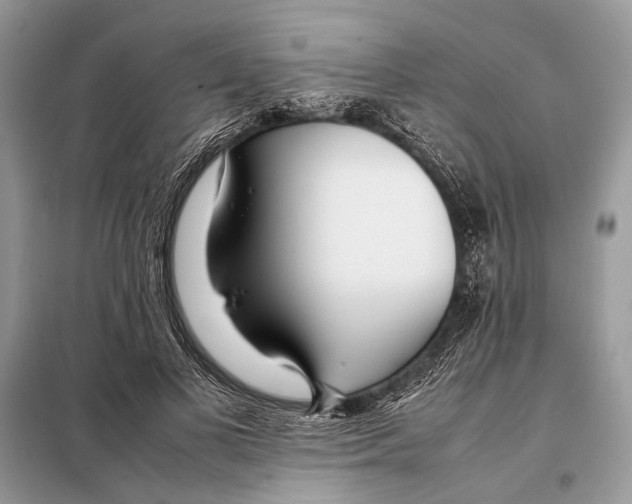 X0000098080693200805021022
