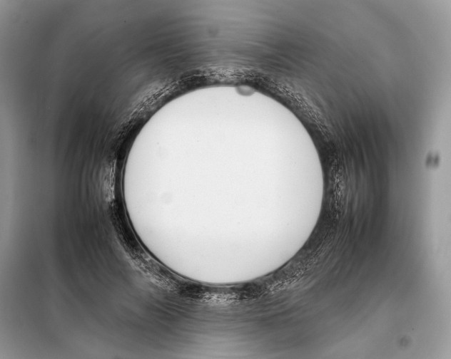 X0000098080694200805021022