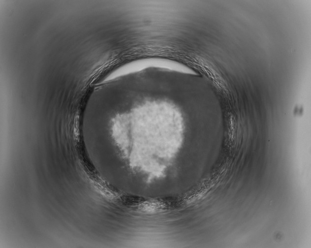 X0000098080696200805021022