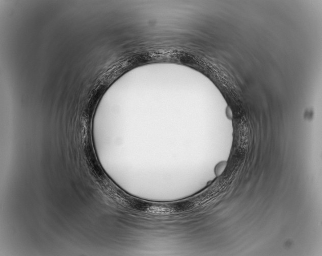 X0000098080699200805021022