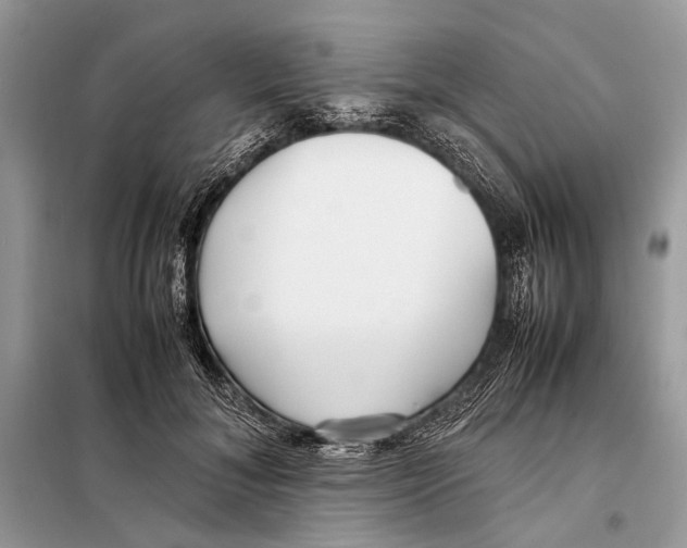 X0000098080700200805021022