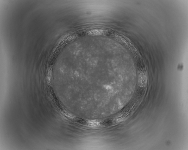 X0000098080701200805021022