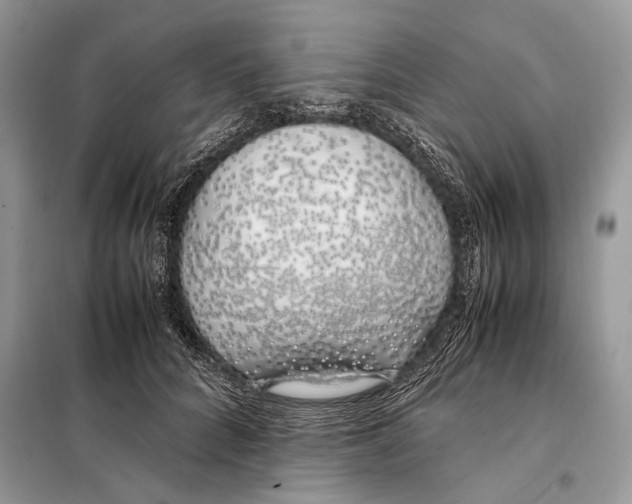 X0000098080704200805021022