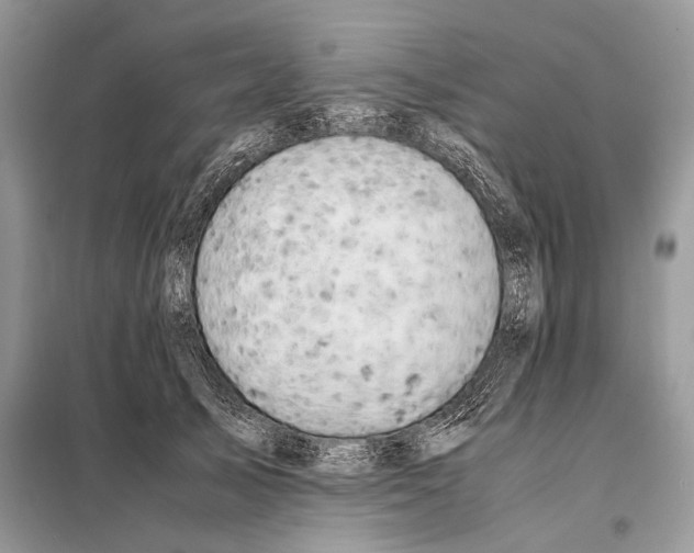 X0000098080705200805021022