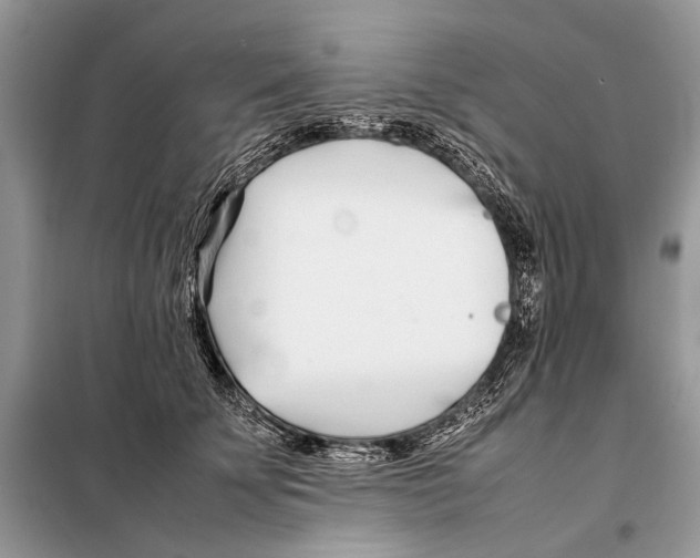 X0000098080707200805021022