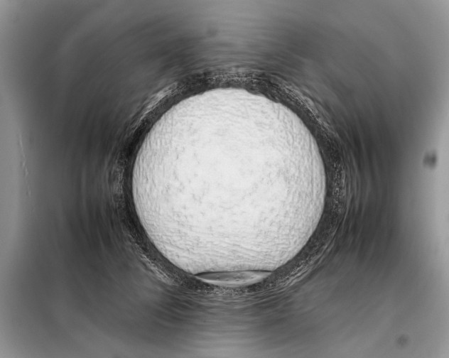 X0000098080708200805021022
