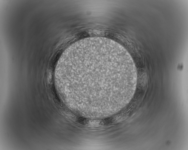 X0000098080709200805021022