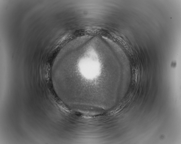 X0000098080712200805021022