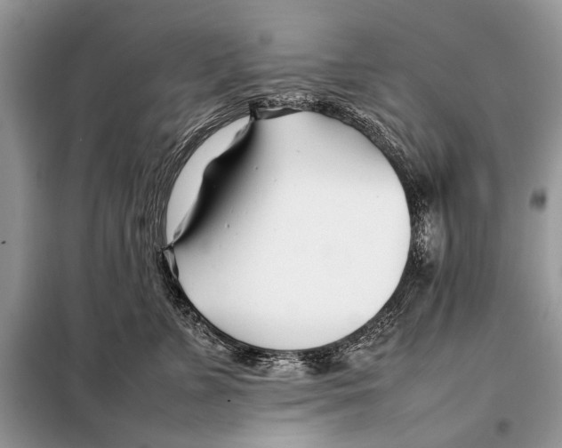 X0000098080715200805021022