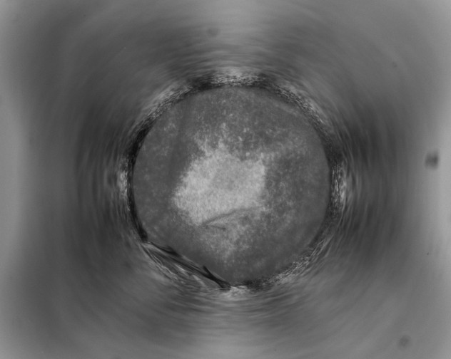X0000098080716200805021022