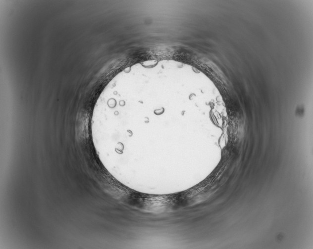 X0000098080717200805021022