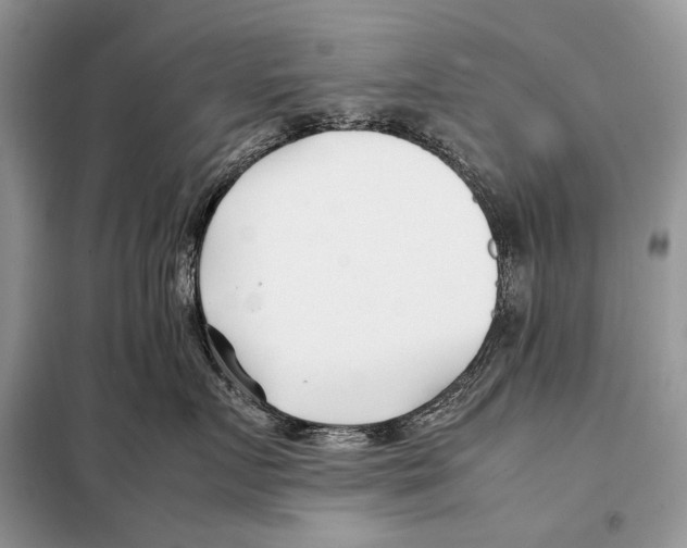 X0000098080719200805021021