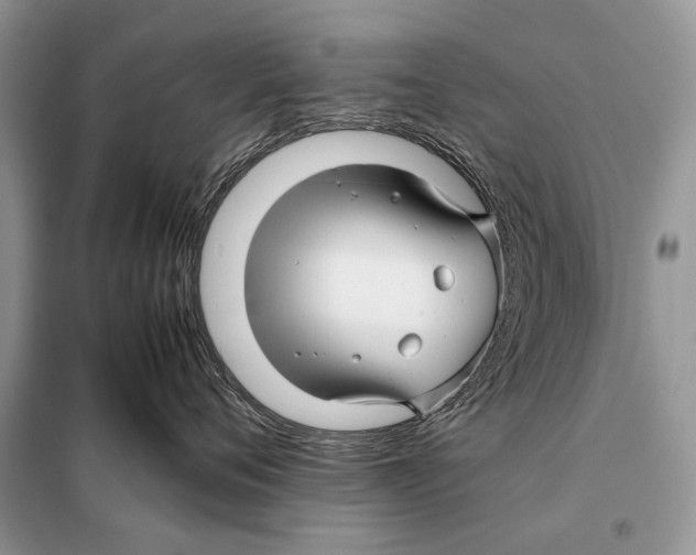 X0000098080720200805021021