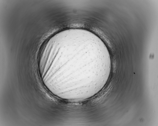 X0000098080721200805021021