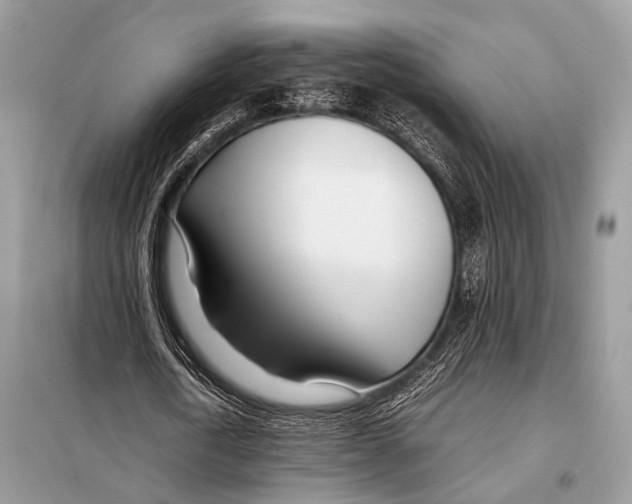 X0000098080722200805021021