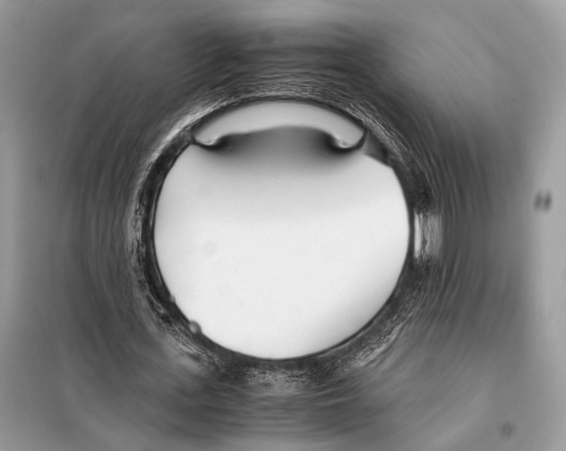 X0000098080723200805021021