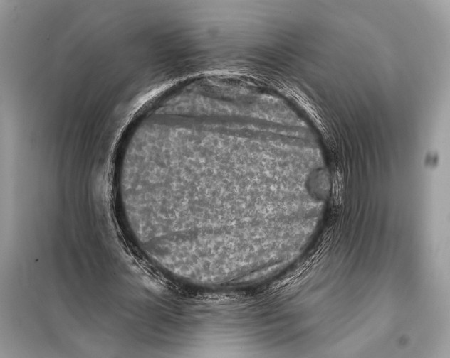 X0000098080724200805021021