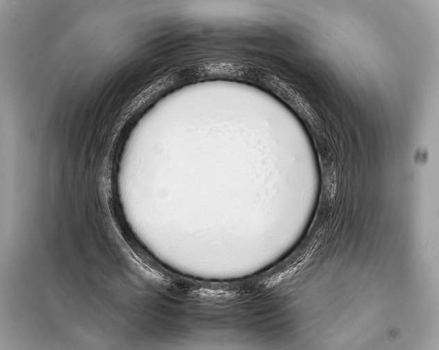 X0000098080725200805021021