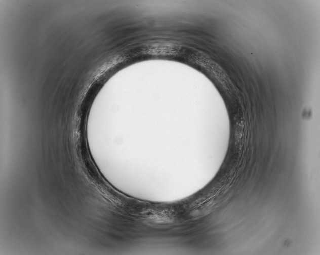 X0000098080727200805021021