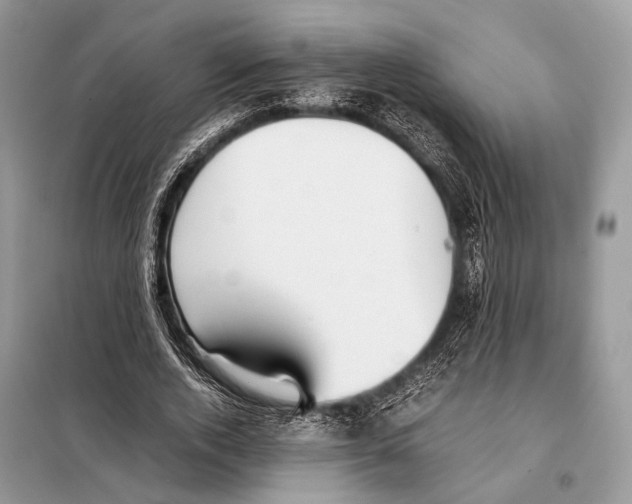 X0000098080728200805021021