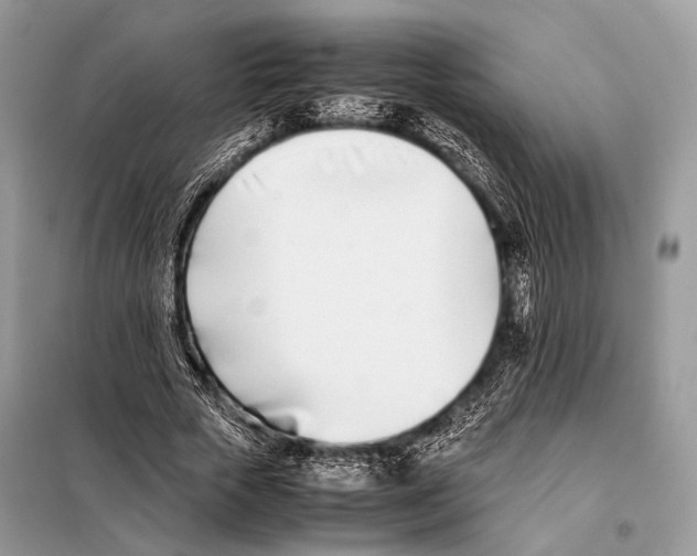 X0000098080729200805021021